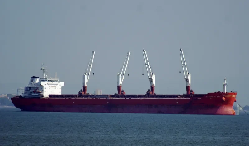 VIRTUOUS STRIKER Bulk Carrier IMO 9493690 photo 9