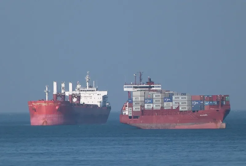 VIRTUOUS STRIKER Bulk Carrier IMO 9493690 photo 10