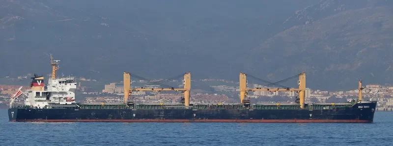 WAN ADVANTAGE Bulk Carrier IMO 9493731