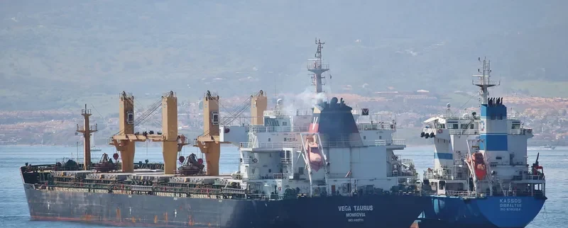 WAN ADVANTAGE Bulk Carrier IMO 9493731 photo 2
