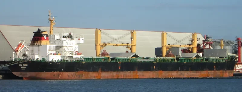 WAN ADVANTAGE Bulk Carrier IMO 9493731 photo 3