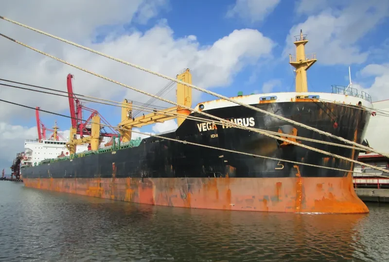 WAN ADVANTAGE Bulk Carrier IMO 9493731 photo 5