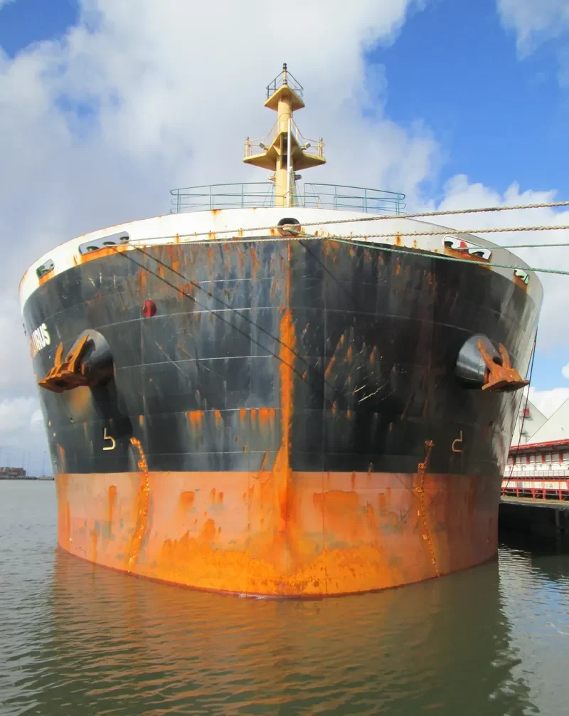 WAN ADVANTAGE Bulk Carrier IMO 9493731 photo 6