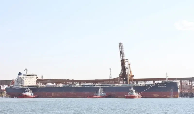 SHI DAI 20 Bulk Carrier IMO 9493834 photo 2