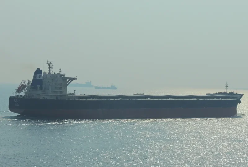 SHI DAI 21 Bulk Carrier IMO 9493846 photo 2
