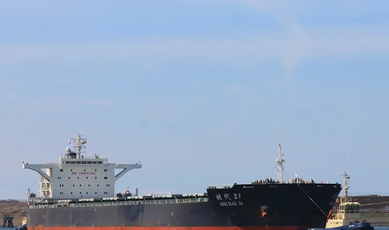 SHI DAI 21 Bulk Carrier IMO 9493846 photo 3