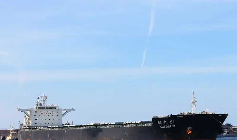 SHI DAI 21 Bulk Carrier IMO 9493846 photo 4