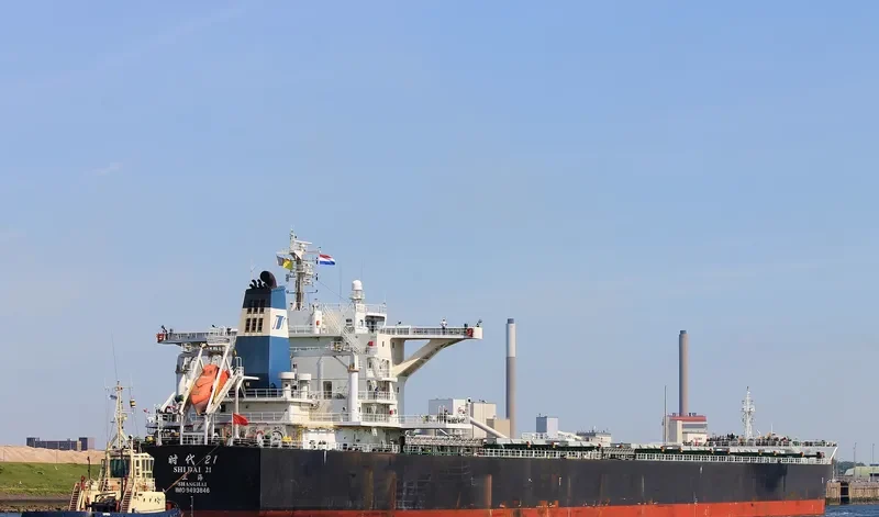 SHI DAI 21 Bulk Carrier IMO 9493846 photo 6