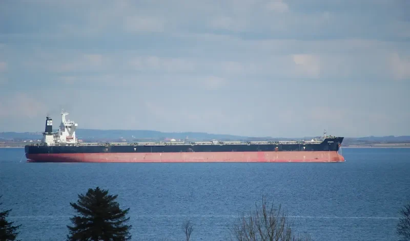QUORN Bulk Carrier IMO 9493860 photo 6