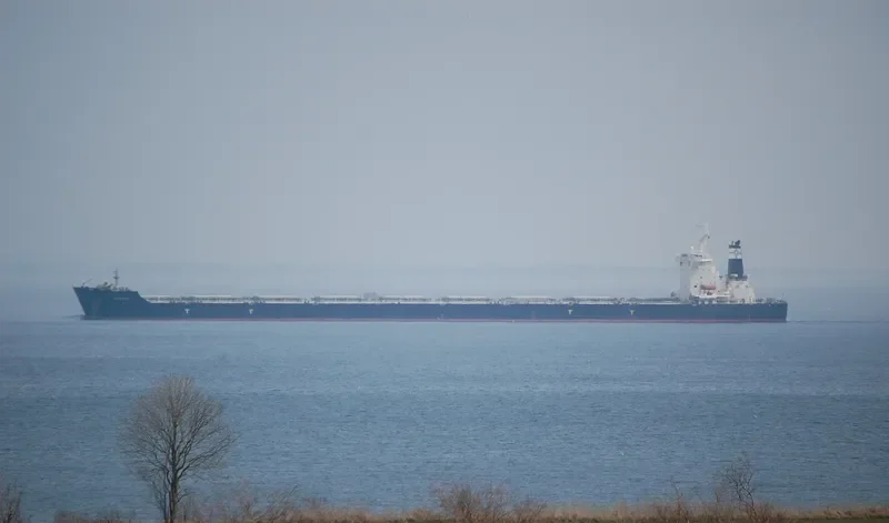 QUORN Bulk Carrier IMO 9493860 photo 7