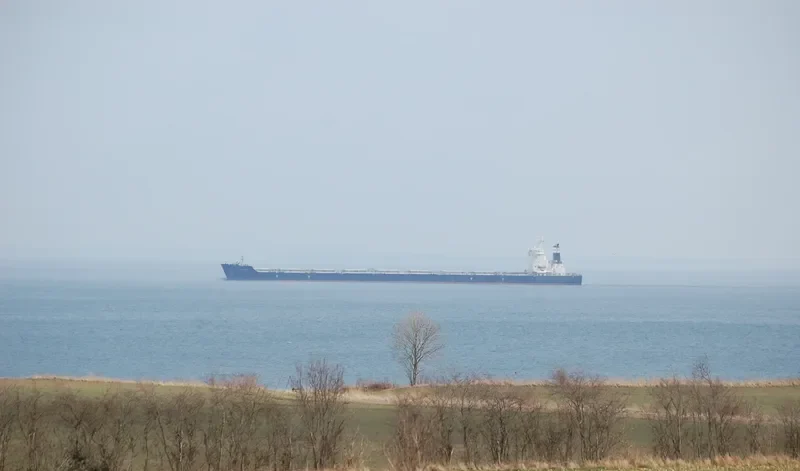 QUORN Bulk Carrier IMO 9493860 photo 8