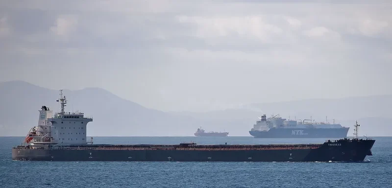 THISSEAS Bulk Carrier IMO 9493896