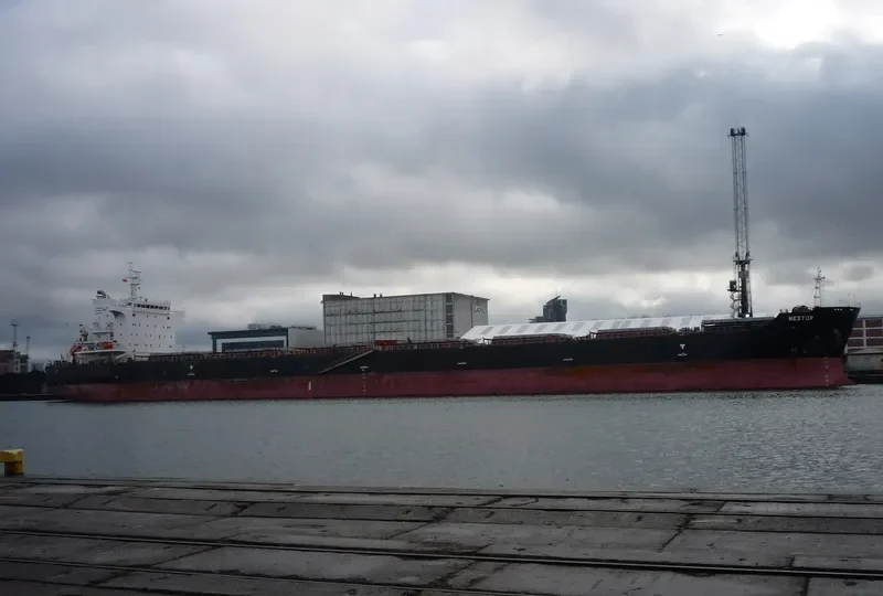 NESTOR Bulk Carrier IMO 9493913