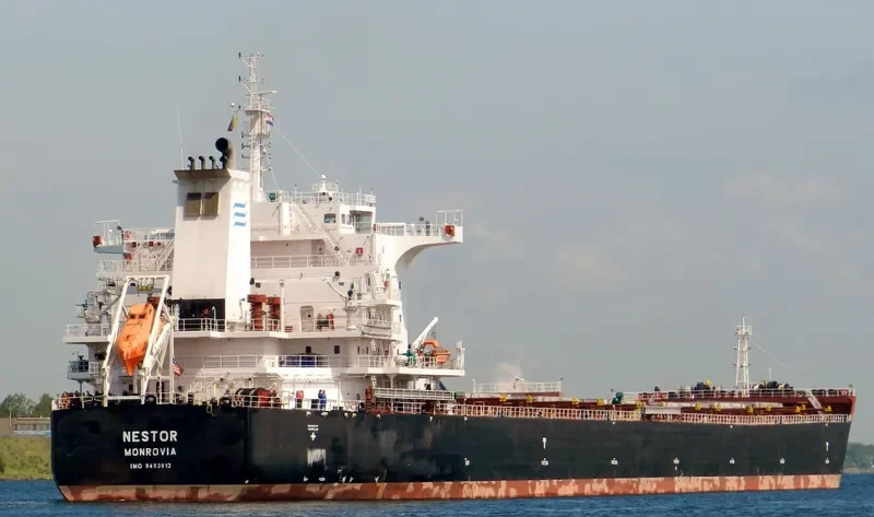 NESTOR Bulk Carrier IMO 9493913 photo 5
