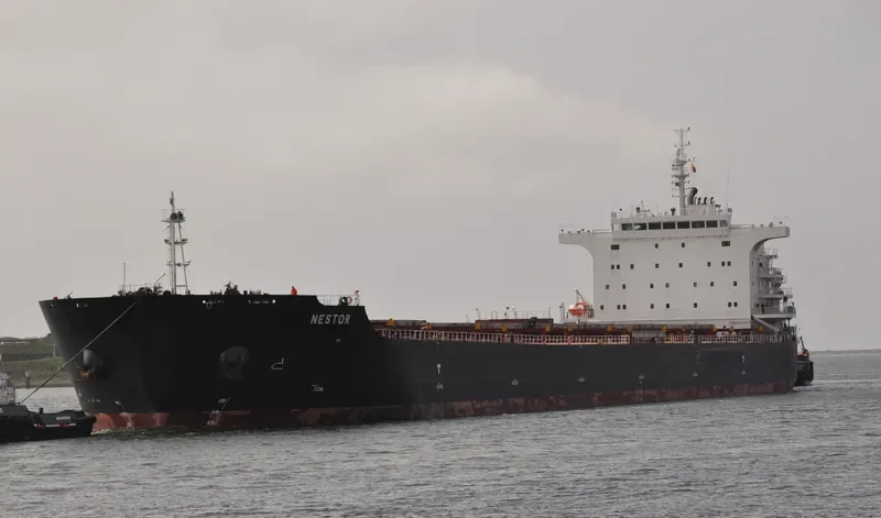 NESTOR Bulk Carrier IMO 9493913 photo 8