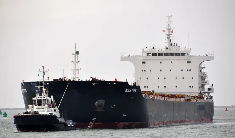 NESTOR Bulk Carrier IMO 9493913 photo 9
