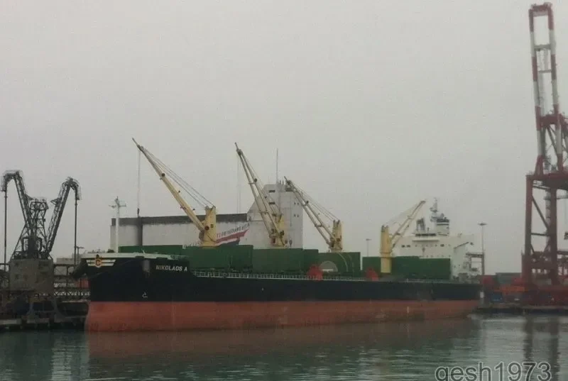 NIKOLAOS A Bulk Carrier IMO 9493949 photo 8