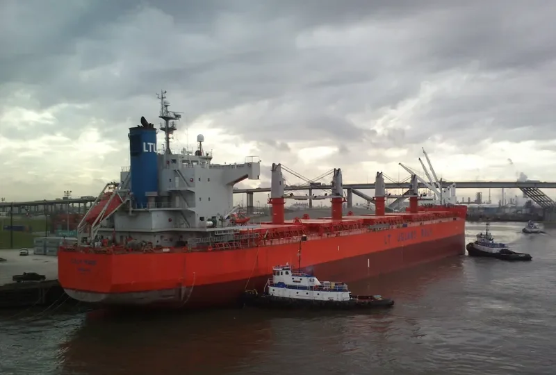 VINAYAK Bulk Carrier IMO 9493951