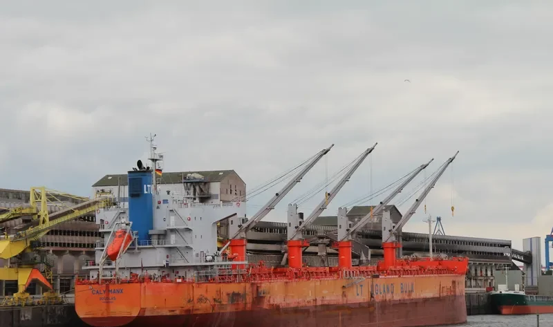 VINAYAK Bulk Carrier IMO 9493951 photo 3