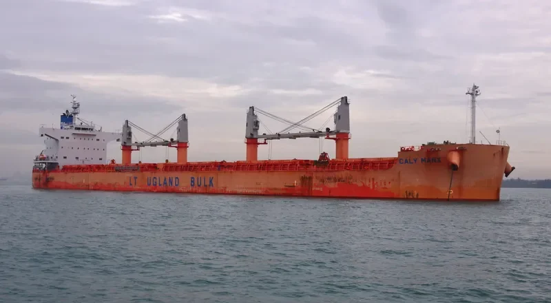 VINAYAK Bulk Carrier IMO 9493951 photo 4