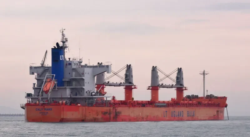 VINAYAK Bulk Carrier IMO 9493951 photo 5