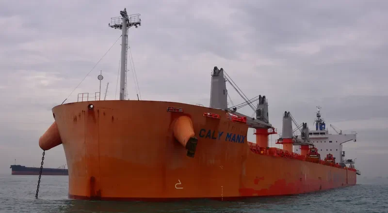 VINAYAK Bulk Carrier IMO 9493951 photo 6