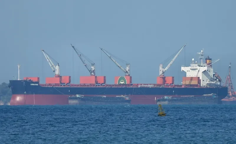 VINAYAK Bulk Carrier IMO 9493951 photo 10