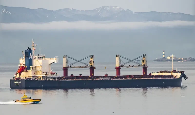 MARYLAKI Bulk Carrier IMO 9494010 photo 10
