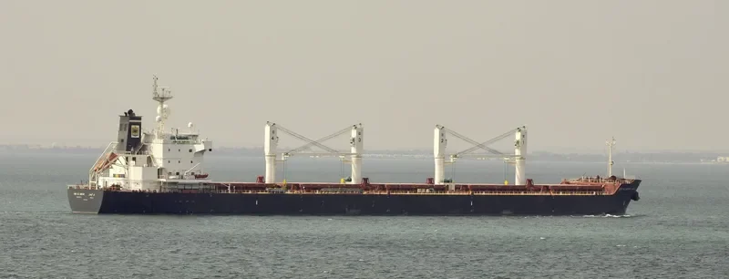 ABU AL ABYAD Bulk Carrier IMO 9494022 photo 392