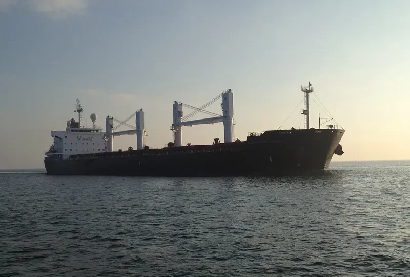 RAS GHUMAYS I Bulk Carrier IMO 9494034 photo 376