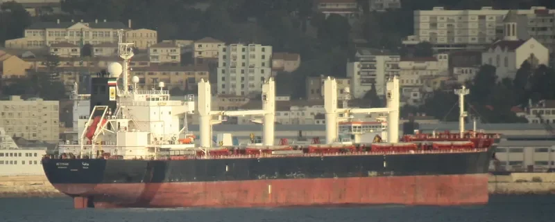 BUTINAH Bulk Carrier IMO 9494046