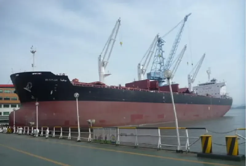 BUTINAH Bulk Carrier IMO 9494046 photo 701