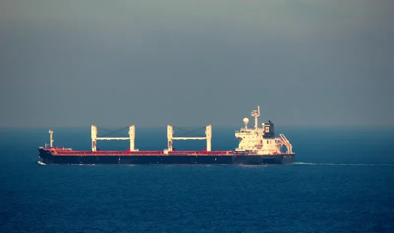 BUTINAH Bulk Carrier IMO 9494046 photo 729