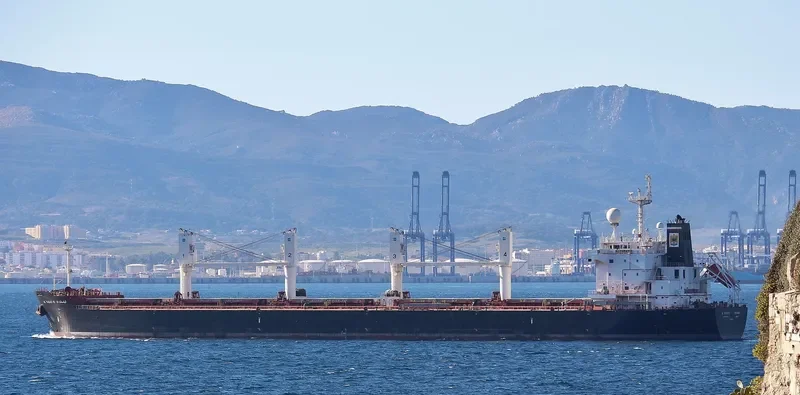 AL YASAT II Bulk Carrier IMO 9494058 photo 660