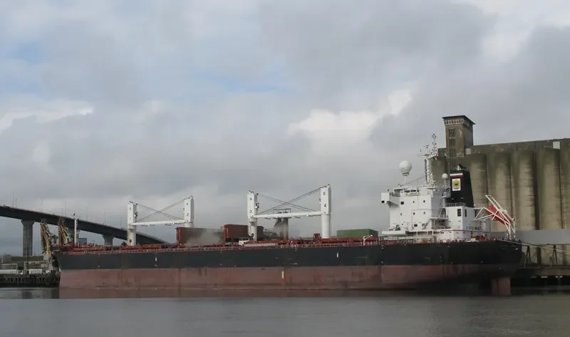 AL YASAT II Bulk Carrier IMO 9494058 photo 1787