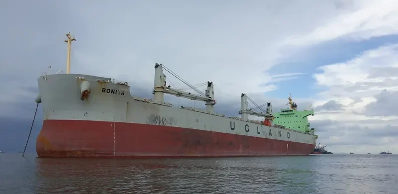 BONITA Bulk Carrier IMO 9494060 photo 5
