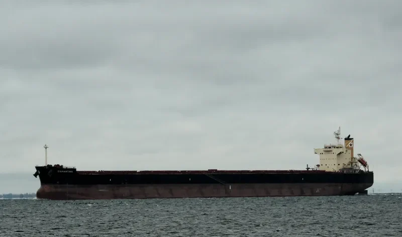 DIAMANTINA Bulk Carrier IMO 9494137
