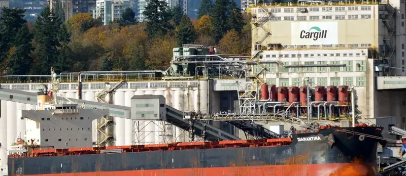 DIAMANTINA Bulk Carrier IMO 9494137 photo 9