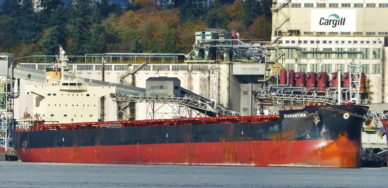 DIAMANTINA Bulk Carrier IMO 9494137 photo 10