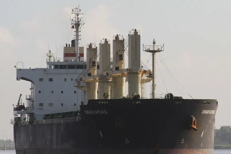 PETRUS Bulk Carrier IMO 9494151