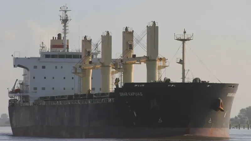 PETRUS Bulk Carrier IMO 9494151 photo 3
