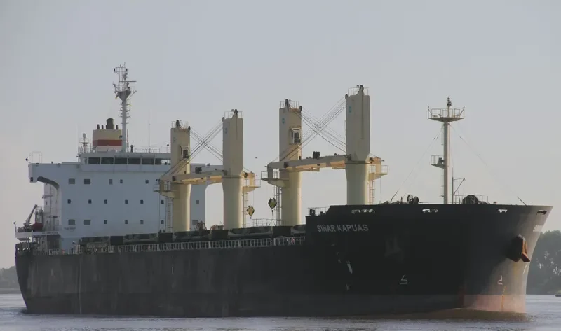 PETRUS Bulk Carrier IMO 9494151 photo 4