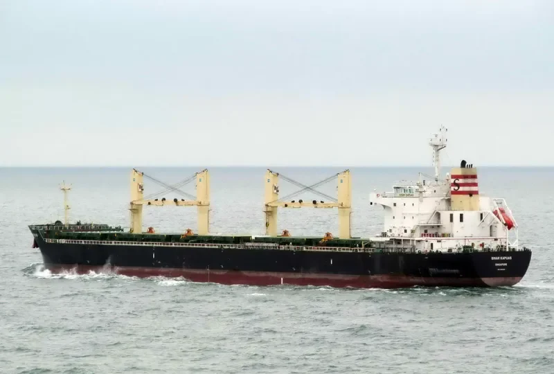 PETRUS Bulk Carrier IMO 9494151 photo 7