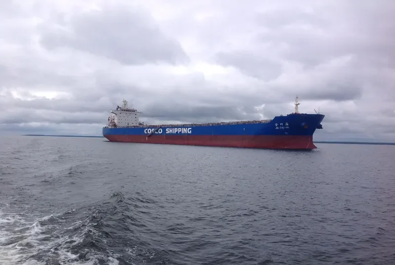 JIN ZHU HAI Bulk Carrier IMO 9494383 photo 5