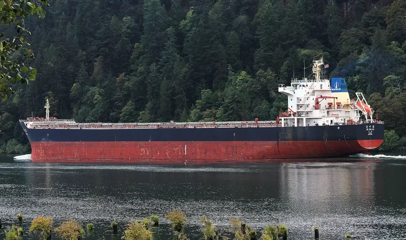 JIN ZHU HAI Bulk Carrier IMO 9494383 photo 8