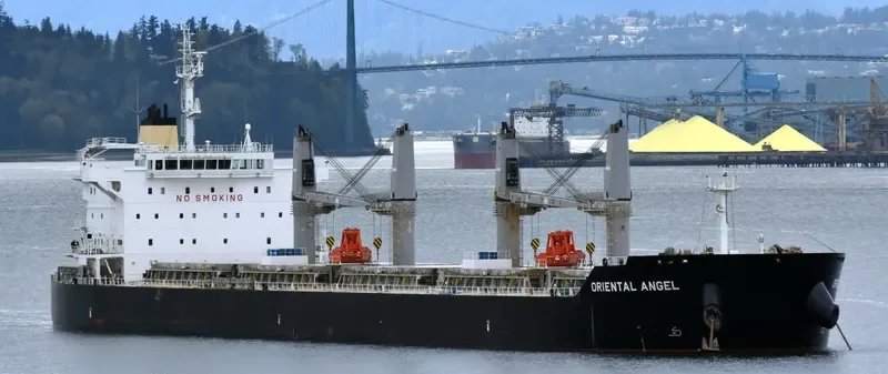 SEA KSANTI Bulk Carrier IMO 9494486 photo 5