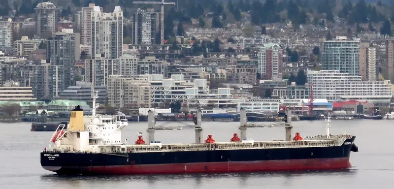 SEA KSANTI Bulk Carrier IMO 9494486 photo 9
