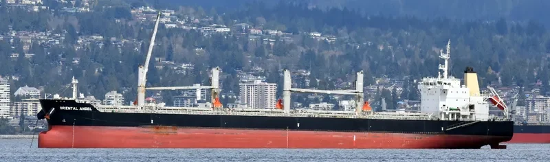 SEA KSANTI Bulk Carrier IMO 9494486 photo 10