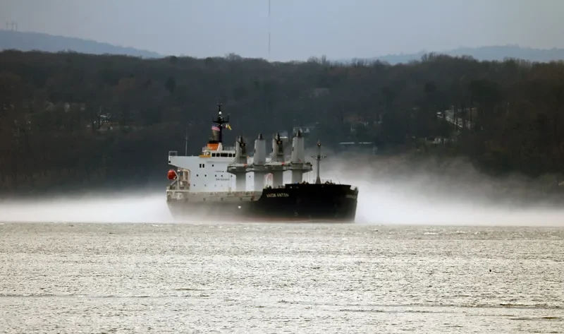 KALLISTI GS Bulk Carrier IMO 9494814 photo 6
