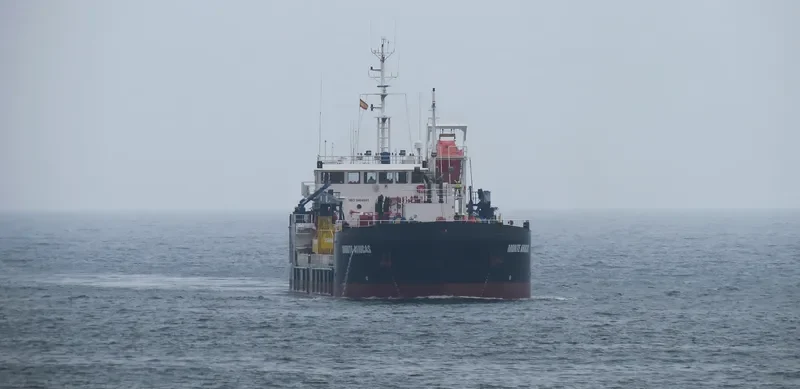 OIZMENDI General Cargo IMO 9494981 photo 3